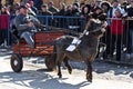 Horses Easter(Pastele Cailor) Festival Royalty Free Stock Photo