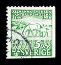 Horses (Equus ferus caballus), Centenary of Swedish Agricultural