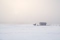 Horses on farm in cold misty morning Royalty Free Stock Photo