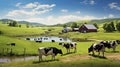 horses farm livestock Royalty Free Stock Photo