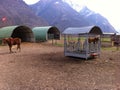 Horses at a farm in Semione, Switzerland.