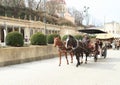 Horses with fiacre Royalty Free Stock Photo