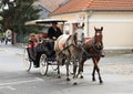 Horses with fiacre Royalty Free Stock Photo