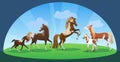 Horses and foals. Cute animals family with mom and baby. Vector illustration.