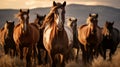 Horses free run on desert storm against sunset sky. Neural network AI generated Royalty Free Stock Photo