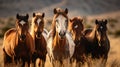 Horses free run on desert storm against sunset sky. Neural network AI generated Royalty Free Stock Photo