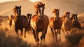 Horses free run on desert storm against sunset sky. Neural network AI generated Royalty Free Stock Photo