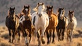 Horses free run on desert storm against sunset sky. Neural network AI generated Royalty Free Stock Photo