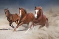 Three red horse run free Royalty Free Stock Photo