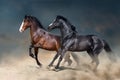 Horses free run in desert storm Royalty Free Stock Photo