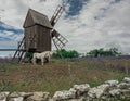 Horses in front of windmill in Ãâland, Sweden