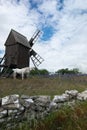 Horses in front of windmill in Ãâland, Sweden during June