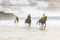 Horses galloping on the beach Royalty Free Stock Photo