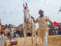 Horses gathered for trade at IndiaÃ¢â¬â¢s top cattle festival at Pushkar Camel Fair.