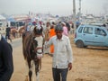 Horses gathered for trade at IndiaÃ¢â¬â¢s top cattle festival at Pushkar Camel Fair.