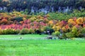 Horses gazing in fall colors of Niagara escarpment