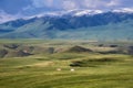 Horses graze in the background of beautiful mountain landscape with snowy peaks and field. Tien Shan ridge in Kazakhstan sunrise Royalty Free Stock Photo