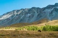 Horses graze in the foothills Royalty Free Stock Photo