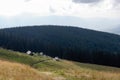 Horses grazed on a mountain pasture against mountains