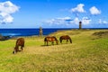 Horses grazing at Ahu Tahai and Ahu Ko Te Riku Royalty Free Stock Photo