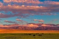 Horses grazing on the field in the mountains Royalty Free Stock Photo