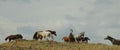 Horses grazing grass at highland pasture.Beautiful white brown and spotted horses graze on mountain.Amazing clouds and Royalty Free Stock Photo