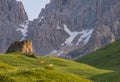 Horses in the green fields at sunrise, Dolomites, Italy Royalty Free Stock Photo