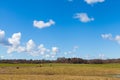 Horses on Green Grassy Field under Bright Blue Sky Royalty Free Stock Photo