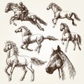 Horses. Set of drawings.