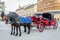 Horses harnessed in red carriages in Novi Sad, Serbia