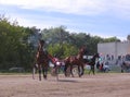 horses harnessed to a cart with a rider run at the racetrack for sports competitions in horse