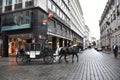 Horses haul a tourist trailer down Vienna Street