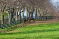 Horses at horse farm. Country landscape. Royalty Free Stock Photo