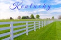 Horses at horse farm. Country summer landscape