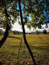 Horses at horse farm at golden hour. Country landscape Royalty Free Stock Photo