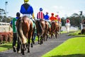 Horses and jockeys parading in the paddock