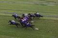 Horses Jockeys Racing Overlooking Royalty Free Stock Photo