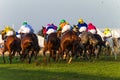 Horses Jockeys Racing Rear Action Royalty Free Stock Photo