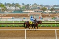 Horses with jockeys on the racing track preparing for the race at Del Mar racetrack Royalty Free Stock Photo