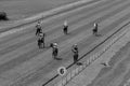 Horses Jockeys Track Black White Vintage