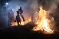 Horses jumping above the fire without fear