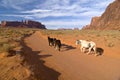Horses leaving Monument Valley Royalty Free Stock Photo