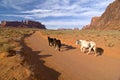Horses leaving Monument Valley