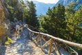 Horses led by a guide, are used to transport tired tourists in Samaria Gorge