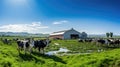 horses livestock farm