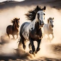 Horses with Long Mane - Portrait of Galloping Run in Desert Dust - High-Speed Close-Up Royalty Free Stock Photo