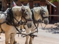 Horses on Main Street, Tombstone, Arizona