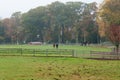 Horses on Monmouth County Farm