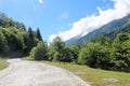 Horses in a mountain road of the Caucasus mountains Royalty Free Stock Photo