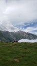 Horses mountains and clouds